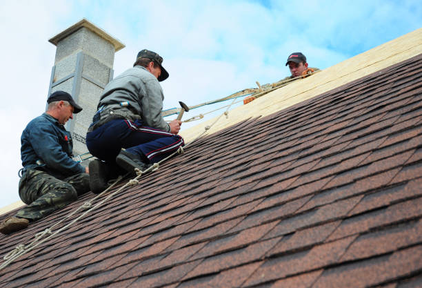 Best Metal Roofing Contractor  in North Madison, OH